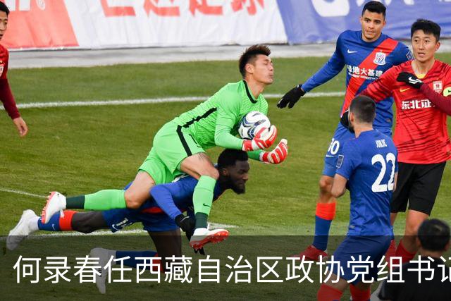 何录春任西藏自治区政协党组书记