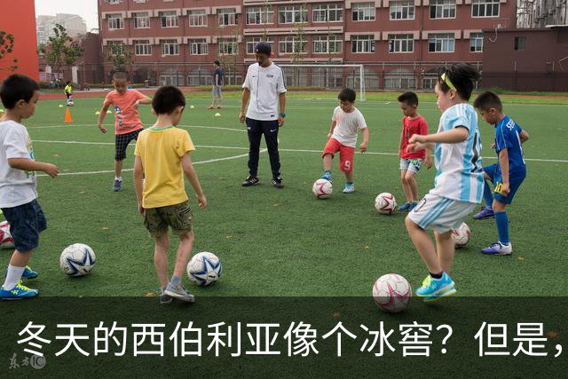 冬天的西伯利亚像个冰窖？但是，它却是俄罗斯的＂摇钱树＂
