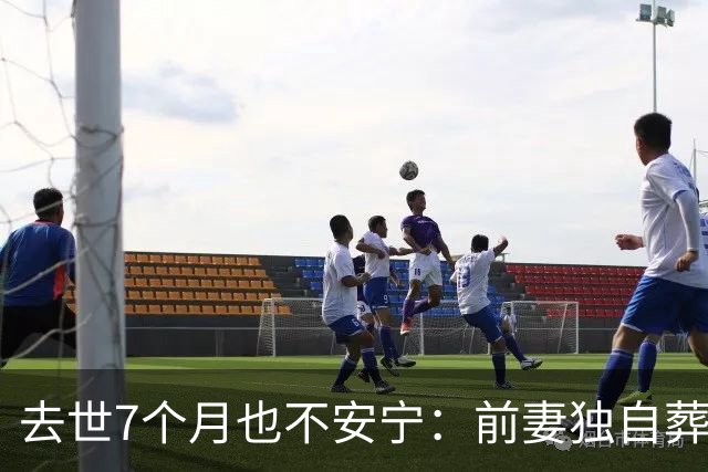 去世7个月也不安宁：前妻独自葬美国，李昌钰被二婚妻子带回江苏