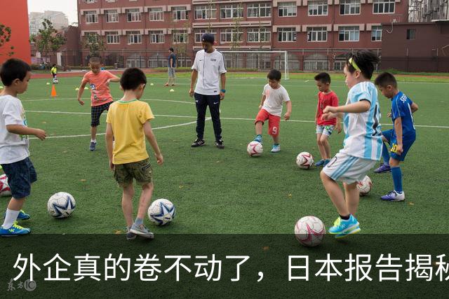 外企真的卷不动了，日本报告揭秘，，中国逼走，4000，家日企，，换来了什么