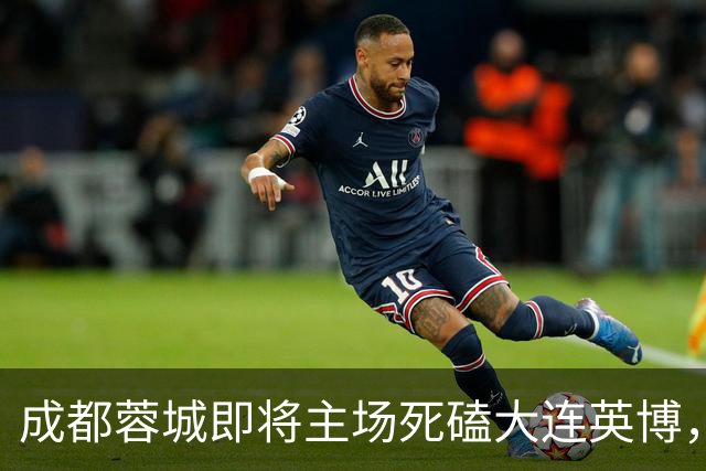 成都蓉城即将主场死磕大连英博，俱乐部或提前做出重要决定