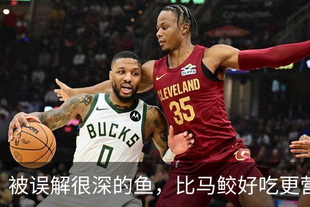 被误解很深的鱼，比马鲛好吃更营养，鱼肉似“千层糕”，我国独有