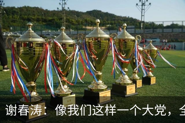 谢春涛：像我们这样一个大党，全面从严治党，靠各级党组织和全体党员、干部动手一起来抓