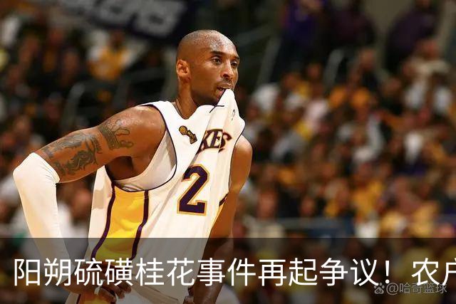 阳朔硫磺桂花事件再起争议！农户光脚分拣原料画面，被网友调侃“脚气桂花”