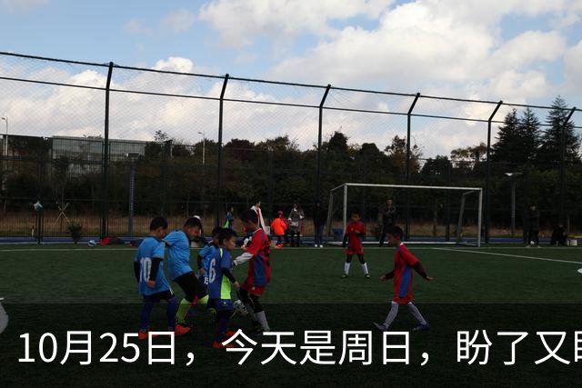 10月25日，今天是周日，盼了又盼的2026年养老金调整通知，终归到如今还是没有如人所愿