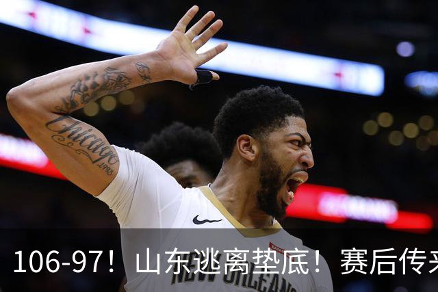 106-97！山东逃离垫底！赛后传来邱彪最新消息，王岚嵚说的很实在