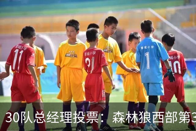 30队总经理投票：森林狼西部第3，却又被选为最难预测